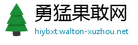 勇猛果敢网